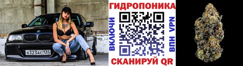 Бошки Шишки семена Махачкала